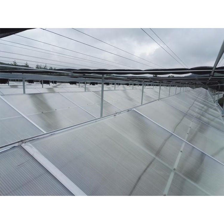 4-8m Customization Height Agricultural Greenhouse Multi-Span Polycarbonate Greenhouse With Hydroponics System