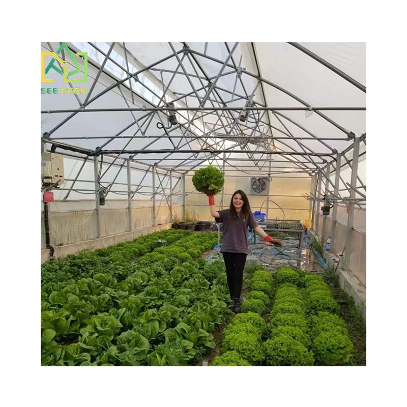 wholesale tropical greenhouse for tomatoes agricultural