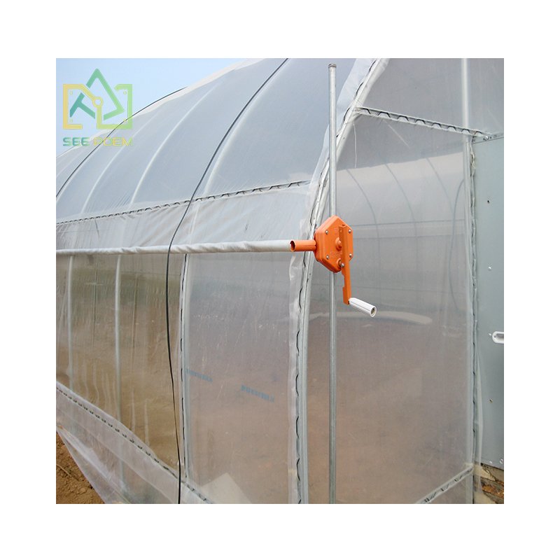wholesale tropical greenhouse for tomatoes agricultural