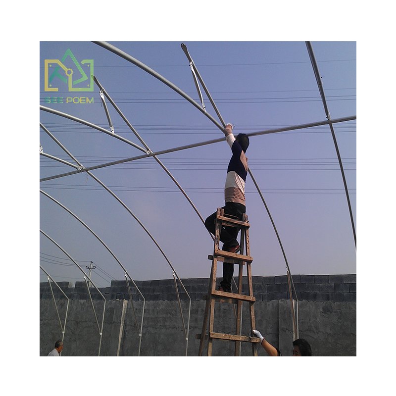 wholesale tropical greenhouse for tomatoes agricultural