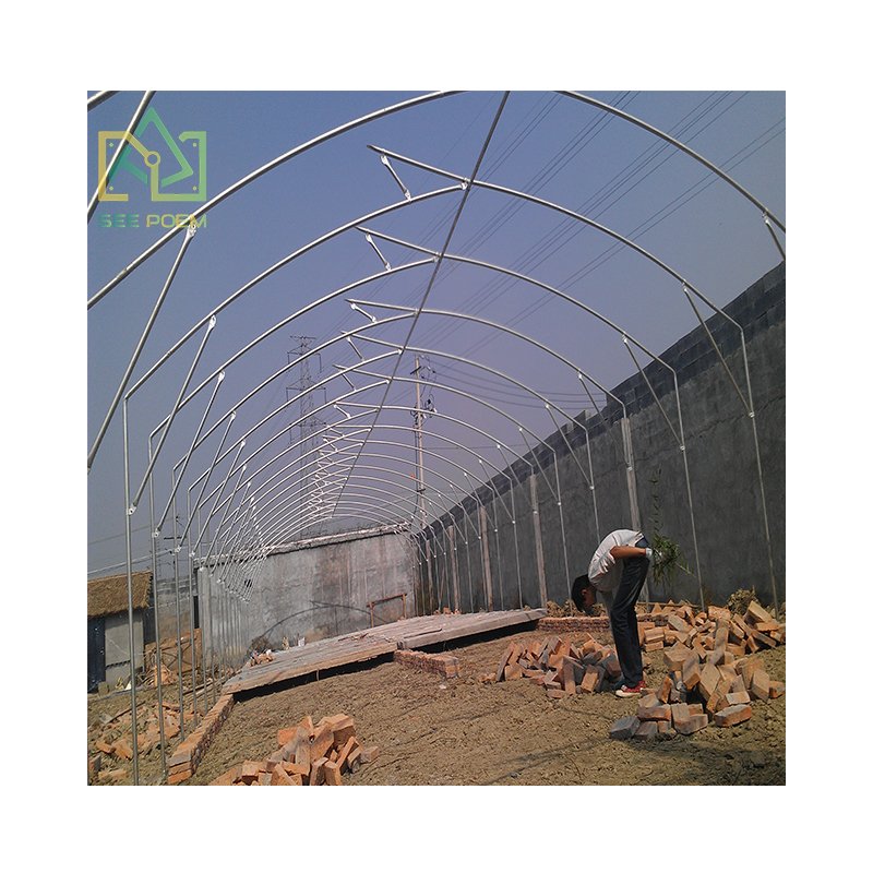 wholesale tropical greenhouse for tomatoes agricultural