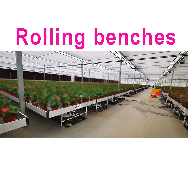Seedling Movable Trays Rolling Bench Tables For Greenhouse ABS And Flow Hydroponic Systems