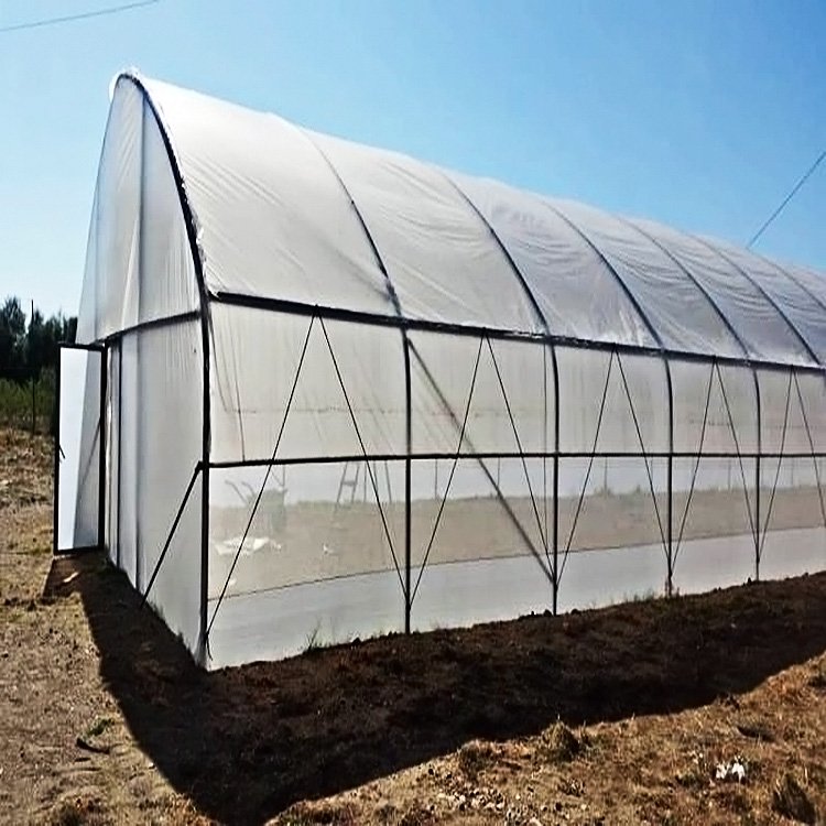 single-span greenhouses agriculture greenhouse for planting