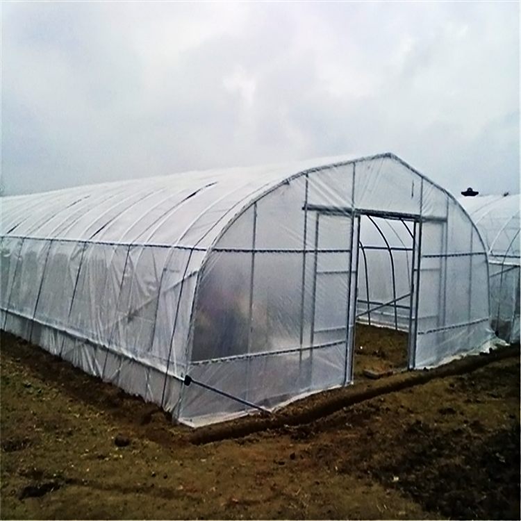 single-span greenhouses agriculture greenhouse for planting