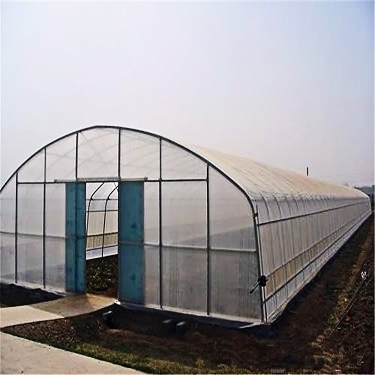 single-span greenhouses agriculture greenhouse for planting