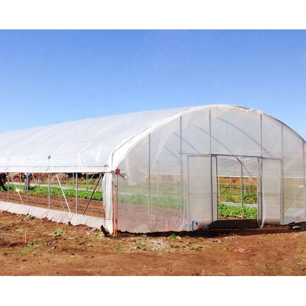 Industrial Hemp Greenhouse Pipe Agricultural Single Span Tunnel Film Polycarbonate Greenhouse
