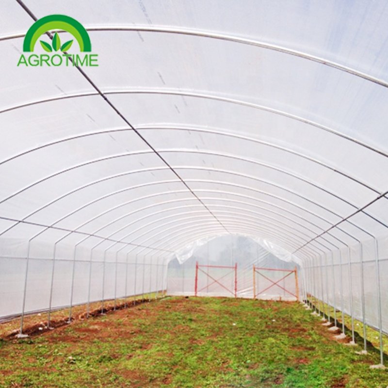 Industrial Hemp Greenhouse Pipe Agricultural Single Span Tunnel Film Polycarbonate Greenhouse
