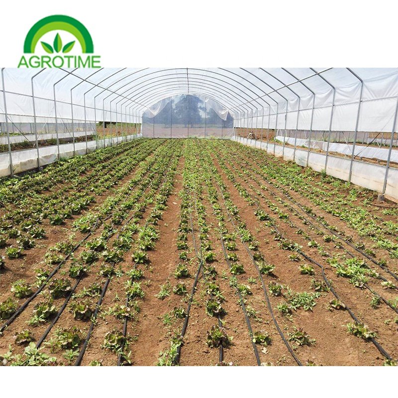 Industrial Hemp Greenhouse Pipe Agricultural Single Span Tunnel Film Polycarbonate Greenhouse