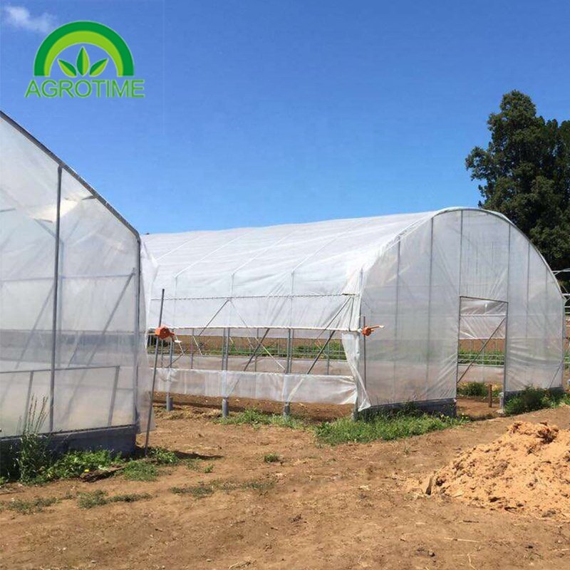 Industrial Hemp Greenhouse Pipe Agricultural Single Span Tunnel Film Polycarbonate Greenhouse