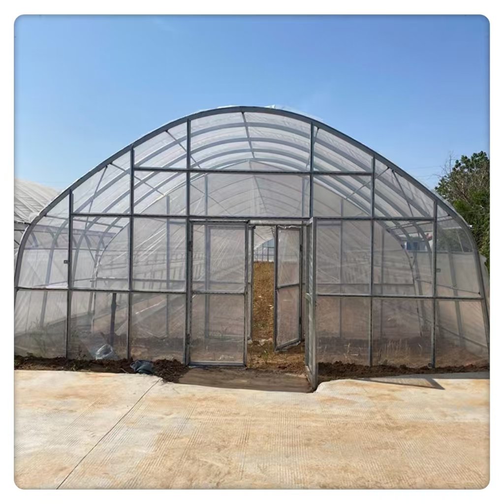 High Quality Advanced Agricultural Single Span Greenhouse Large Square Tunnel Style Galvanized Steel Frame Green Film Plants