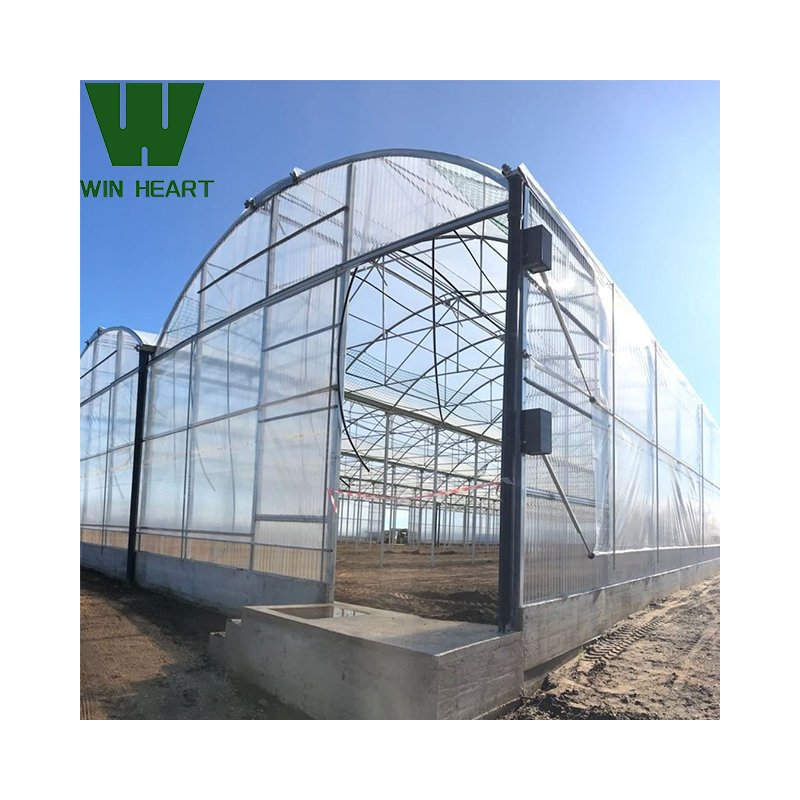Multi-span Greenhouses Planting Agricultural Crops