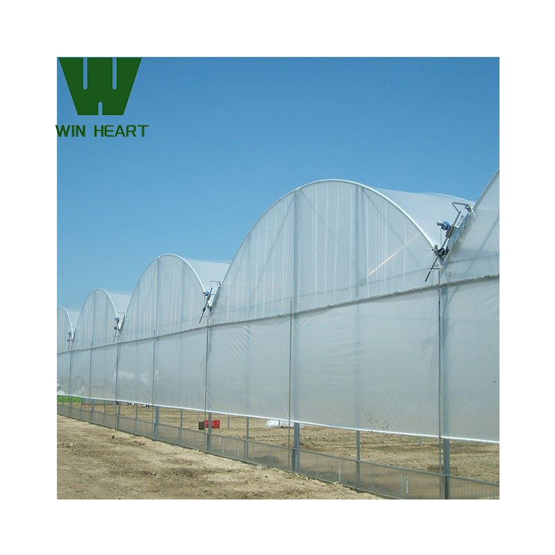 Multi-span Greenhouses Planting Agricultural Crops