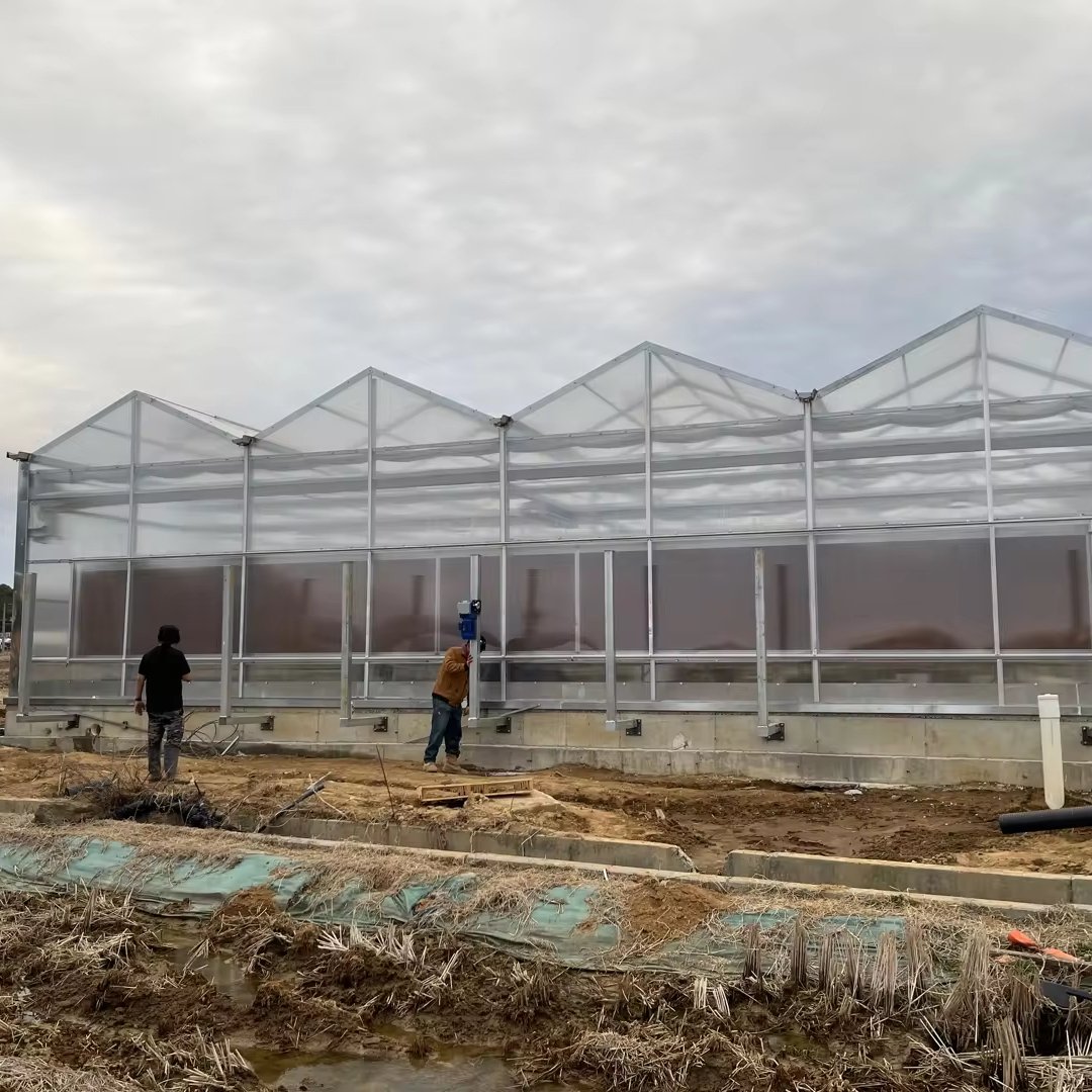 Professional Agricultural Greenhouse With hydroponics growing Equipment