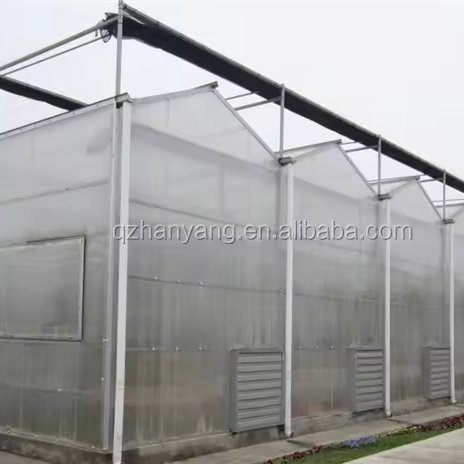 Professional Agricultural Greenhouse With hydroponics growing Equipment