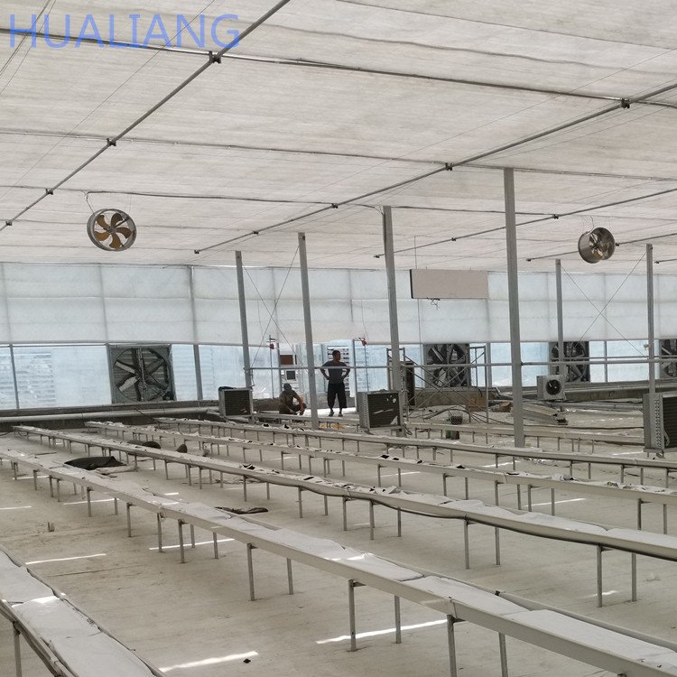 Galvanized Steel Frame Multi-span Glass Greenhouse For Agriculture
