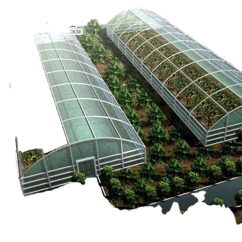 Low cost agricultural greenhouse for sale/tower garden/aduaponics
