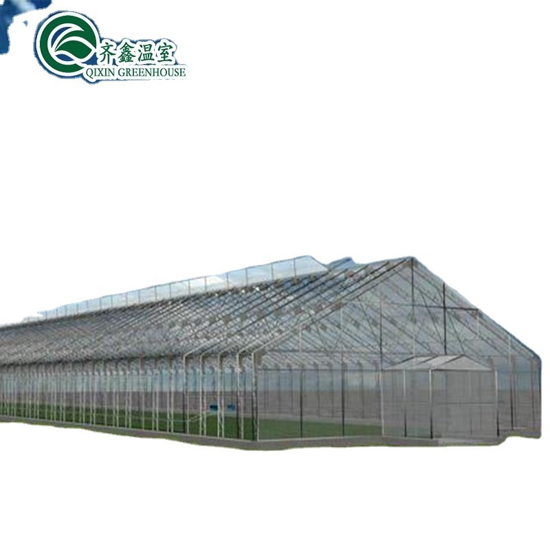 Low cost agricultural greenhouse for sale/tower garden/aduaponics