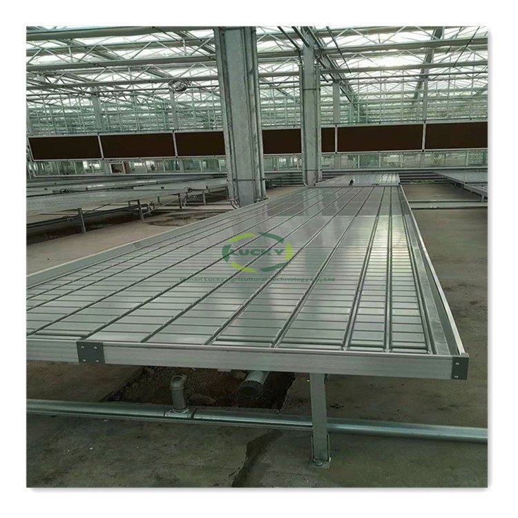 Tidal Aluminum Greenhouse Seedbed Frame Grow Racks And Rolling Bench Flood Trays