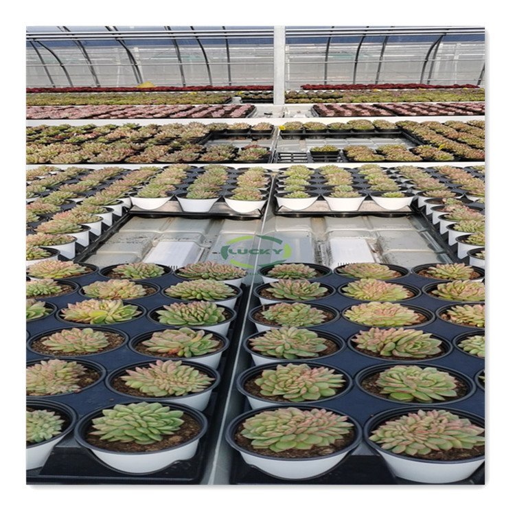 Tidal Aluminum Greenhouse Seedbed Frame Grow Racks And Rolling Bench Flood Trays