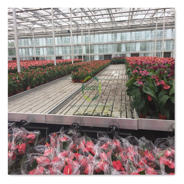 Tidal Aluminum Greenhouse Seedbed Frame Grow Racks And Rolling Bench Flood Trays