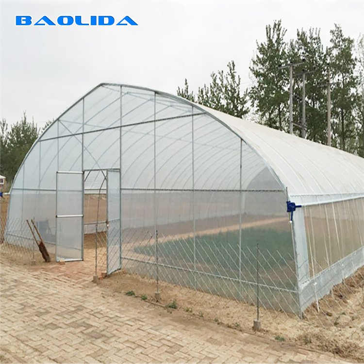 Hot Sale Poultry Farming Equipment Greenhouse
