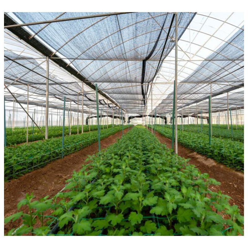 Commercial industrial other greenhouses single span high tunnel tomato plastic agricultural greenhouse