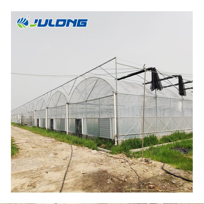 China Supplier Tomato Multi-span Agriculture Greenhouses Hydroponic Growing System For Sale