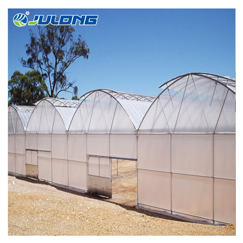 China Supplier Tomato Multi-span Agriculture Greenhouses Hydroponic Growing System For Sale