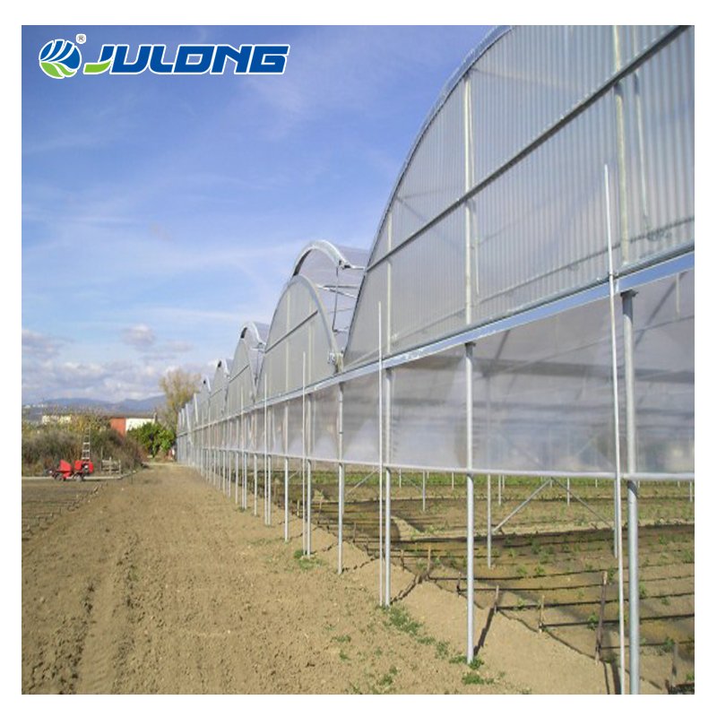 China Supplier Tomato Multi-span Agriculture Greenhouses Hydroponic Growing System For Sale