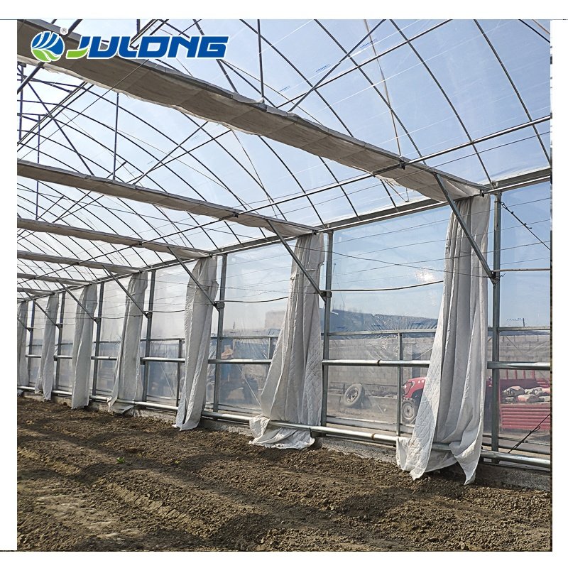 China Supplier Tomato Multi-span Agriculture Greenhouses Hydroponic Growing System For Sale