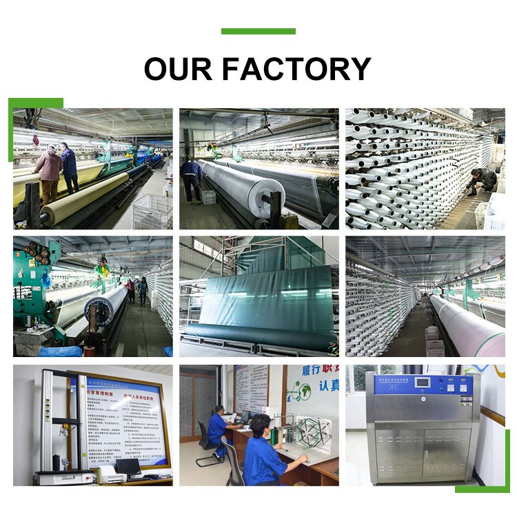 Pe Material Greenhouse Equipment Agriculture Use Sun Shade Net