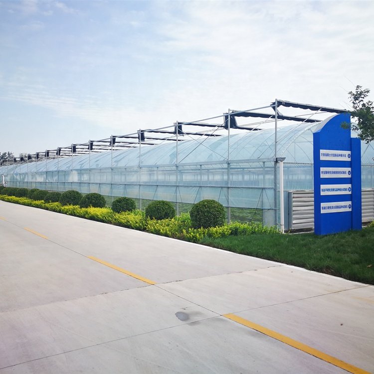 Low cost agricultural multi-span film greenhouses hydroponic greenhouses for sale