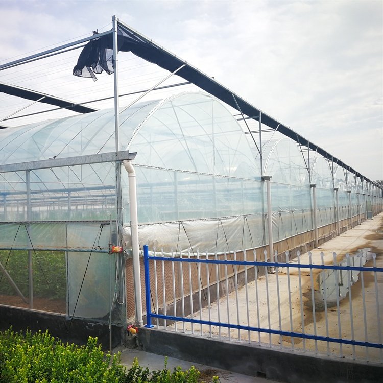 Low cost agricultural multi-span film greenhouses hydroponic greenhouses for sale