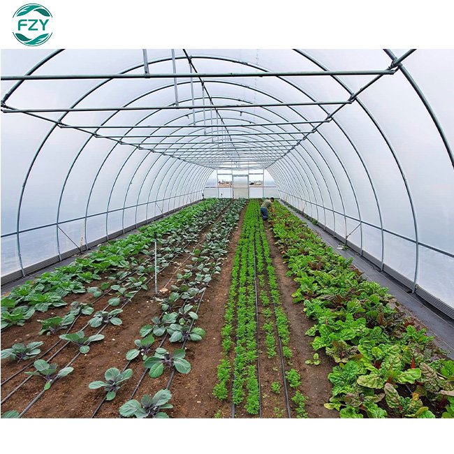 sale commercial single span plastic green house structure tomato plants growing tunnels prefab agricultural greenhouses frame