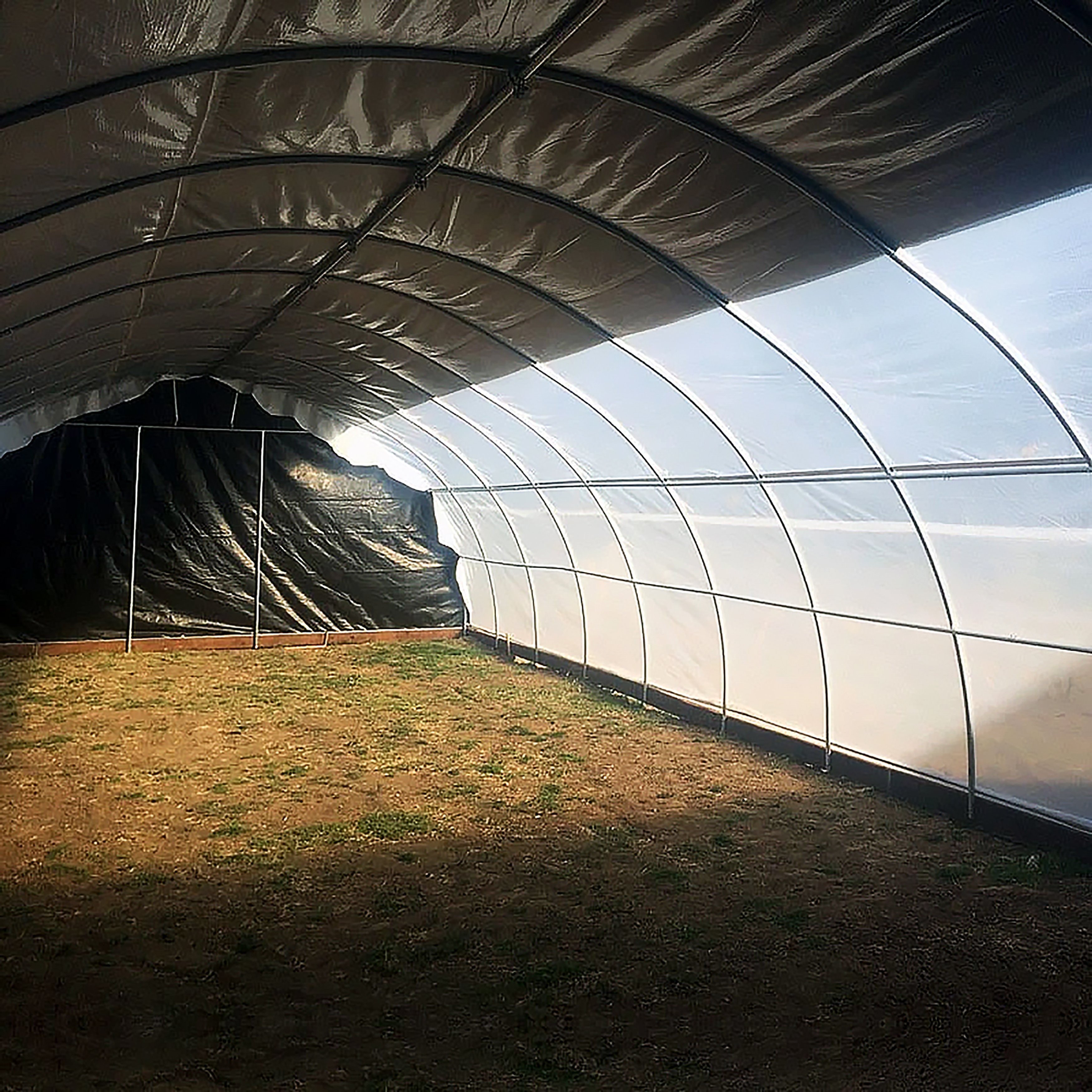 Modern agriculture vegetable garden greenhouse single plastic film poly tunnel greenhouse with hydroponic system