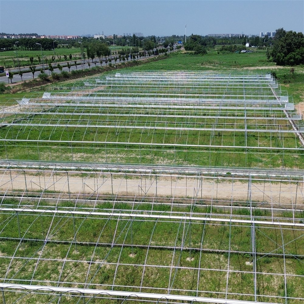 Hot dip galvanized steel pipe automatic greenhouse opener multi-span agricultural greenhouses