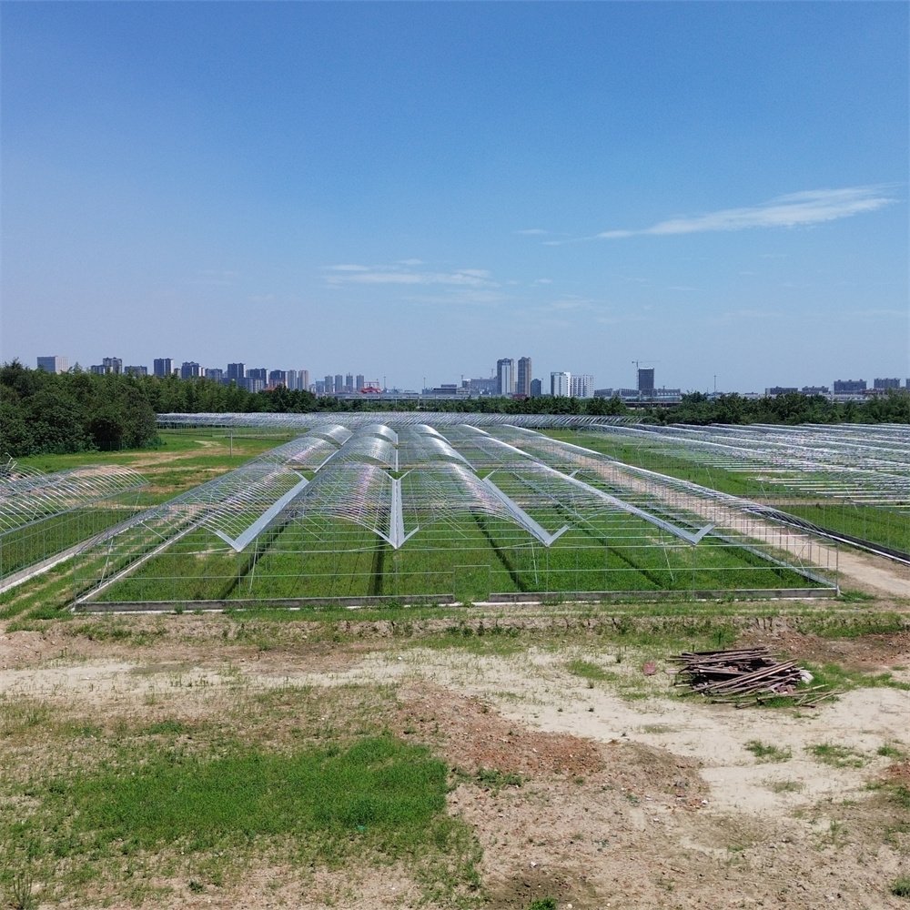 Hot dip galvanized steel pipe automatic greenhouse opener multi-span agricultural greenhouses