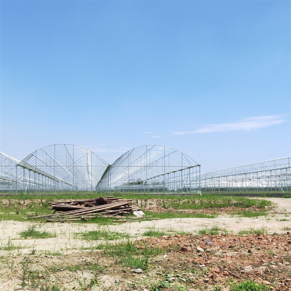 Hot dip galvanized steel pipe automatic greenhouse opener multi-span agricultural greenhouses