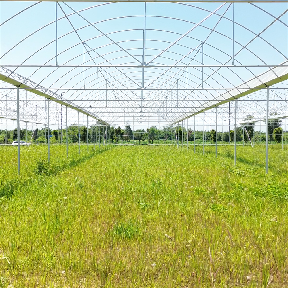 Hot dip galvanized steel pipe automatic greenhouse opener multi-span agricultural greenhouses