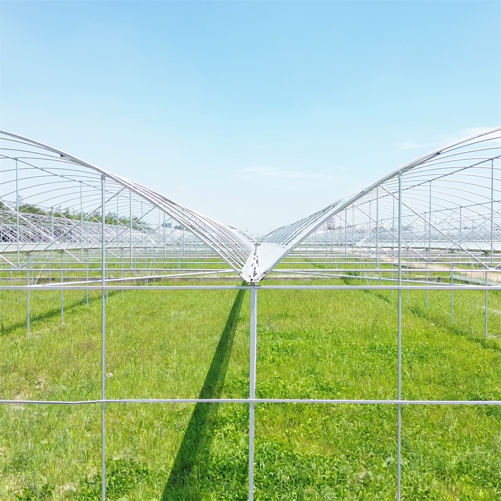Hot dip galvanized steel pipe automatic greenhouse opener multi-span agricultural greenhouses