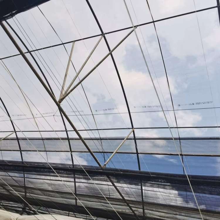 UV Resistant Idpe Film 150 Micron Greenhouse Plastic for Agricultural
