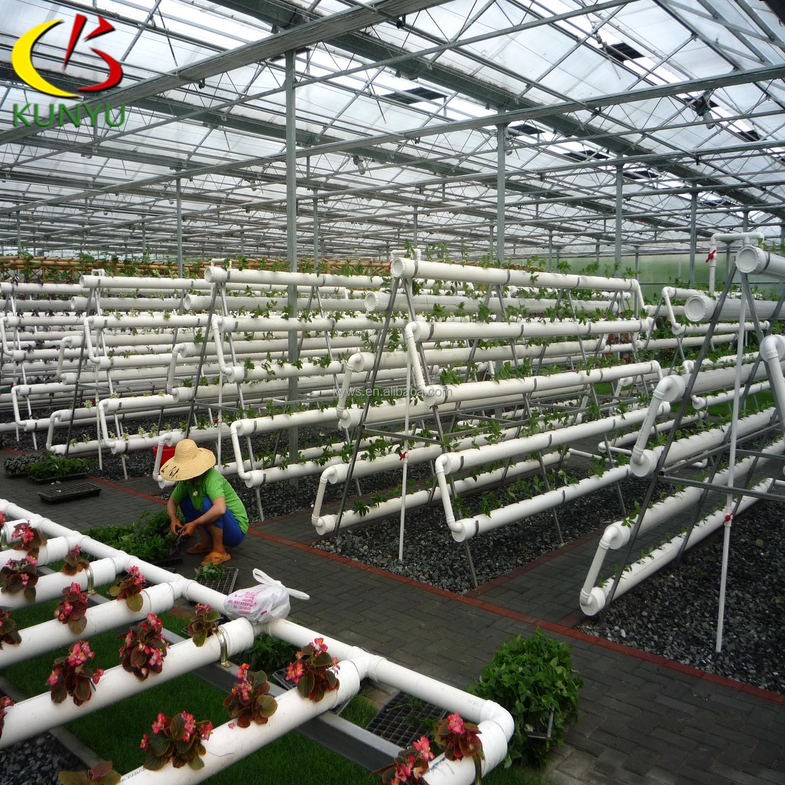 Tomatoes/potatoes /lettuce/strawberry Hydroponic Growing System For agriculture greenhouse Pvc Hydroponic System