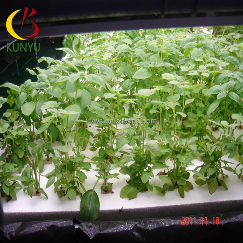 Tomatoes/potatoes /lettuce/strawberry Hydroponic Growing System For agriculture greenhouse Pvc Hydroponic System