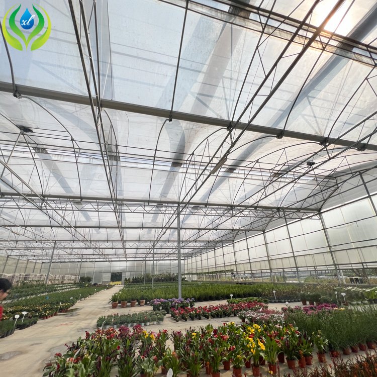 MYXL agriculture polycarbonate greenhouse tunnel vegetable greenhouses for sale pe/pvc greenhouse with hydroponic system