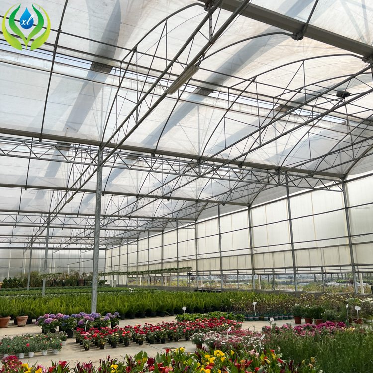 MYXL agriculture polycarbonate greenhouse tunnel vegetable greenhouses for sale pe/pvc greenhouse with hydroponic system