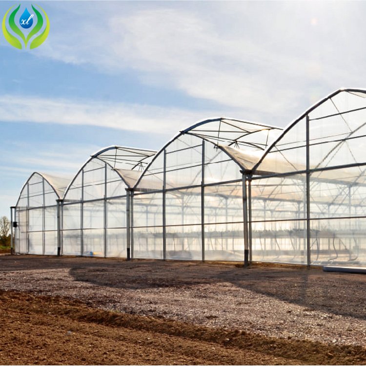 MYXL agriculture polycarbonate greenhouse tunnel vegetable greenhouses for sale pe/pvc greenhouse with hydroponic system