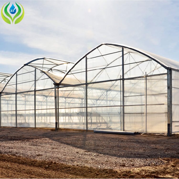 MYXL agriculture polycarbonate greenhouse tunnel vegetable greenhouses for sale pe/pvc greenhouse with hydroponic system