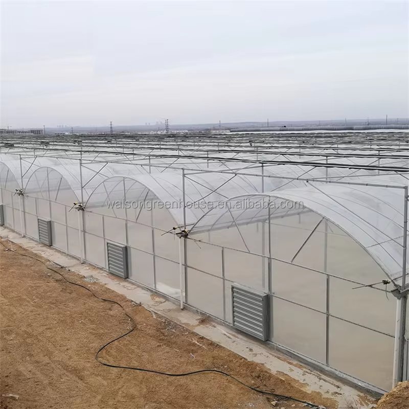 Grande Materiel Tomate Complete Armature Solaire Bache Pour Plastique Pour Agriculture Greenhouse Serre Agricole
