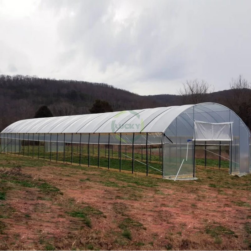Agricultural aluminum Winter Vegetable Hot Galvanized Steel Frame Plastic Sheet Single Span Greenhouse Tunnel Green Houses