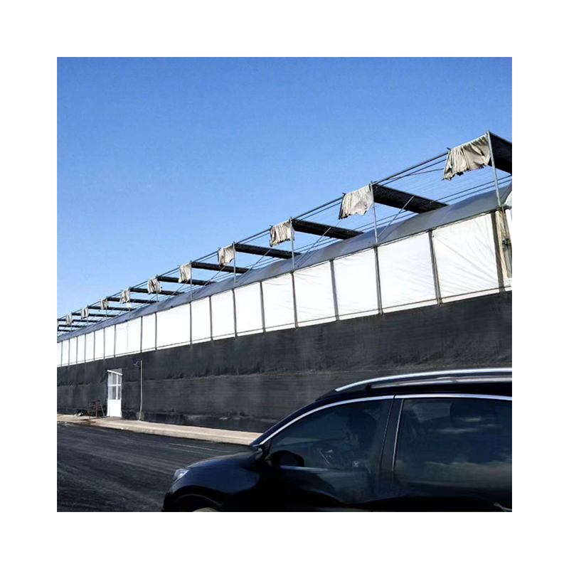 Agricultural Polytunnel Multi-span Plastic Film serre agricole Fruit Flower Customized Greenhouse For Sale